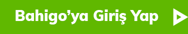 bahigo güncel adres için yeşil renkli yanıp sönen giriş yap butonu